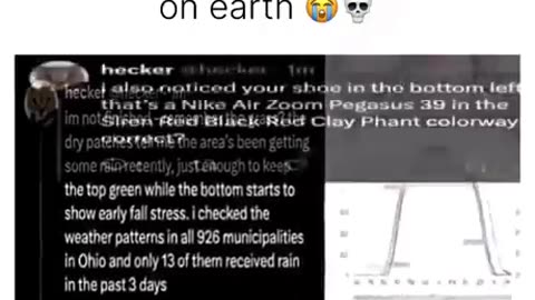 News Break