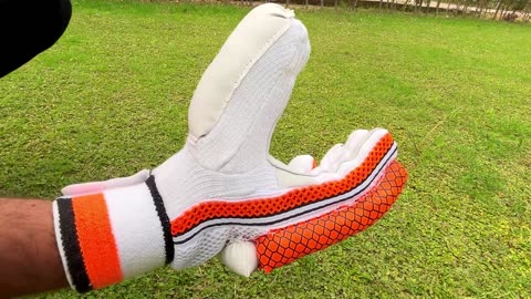 Grip. Comfort. Protection. – Robaro Ultimate Cricket Batting Gloves by Heega Sports 🧤🏏