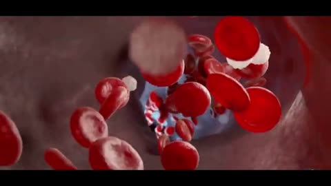 Black Beans The Superfood You Need to Know About