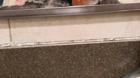 Eating in the shower #ourtruckinglife #truckdriver #reallifetruckers #truckinlifestyle #trucking