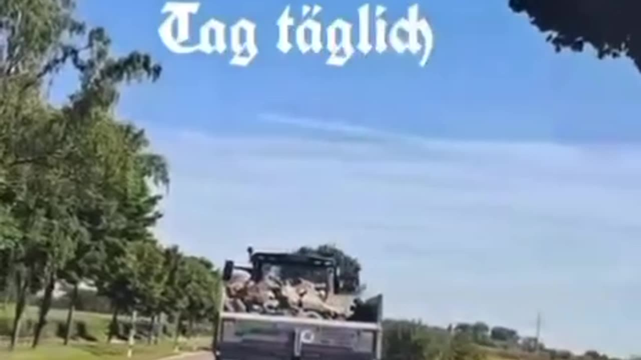 Was ist nur mit den Deutschen los