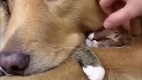 I protect you.. 😂