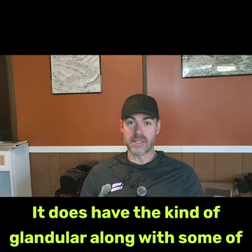 How to "Spot Clean" A Fast COMT SNP