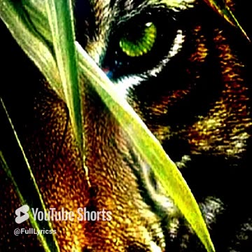 SURVIVOR EYE OF THE TIGER LYRICS SHORT
