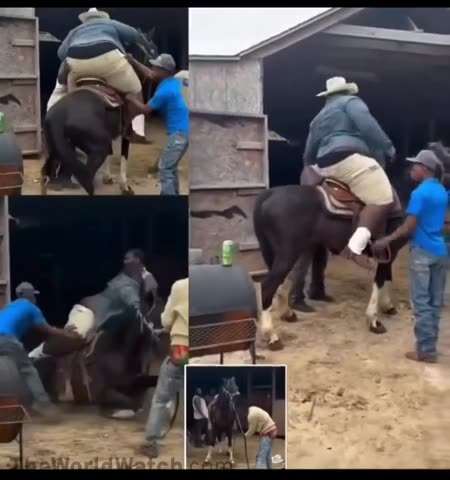 Behind the scenes of Planet of the Apes