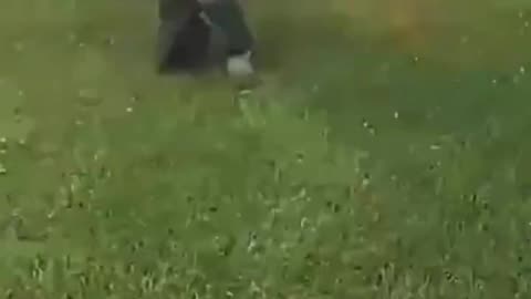 How Quickly It Can Turn Bad