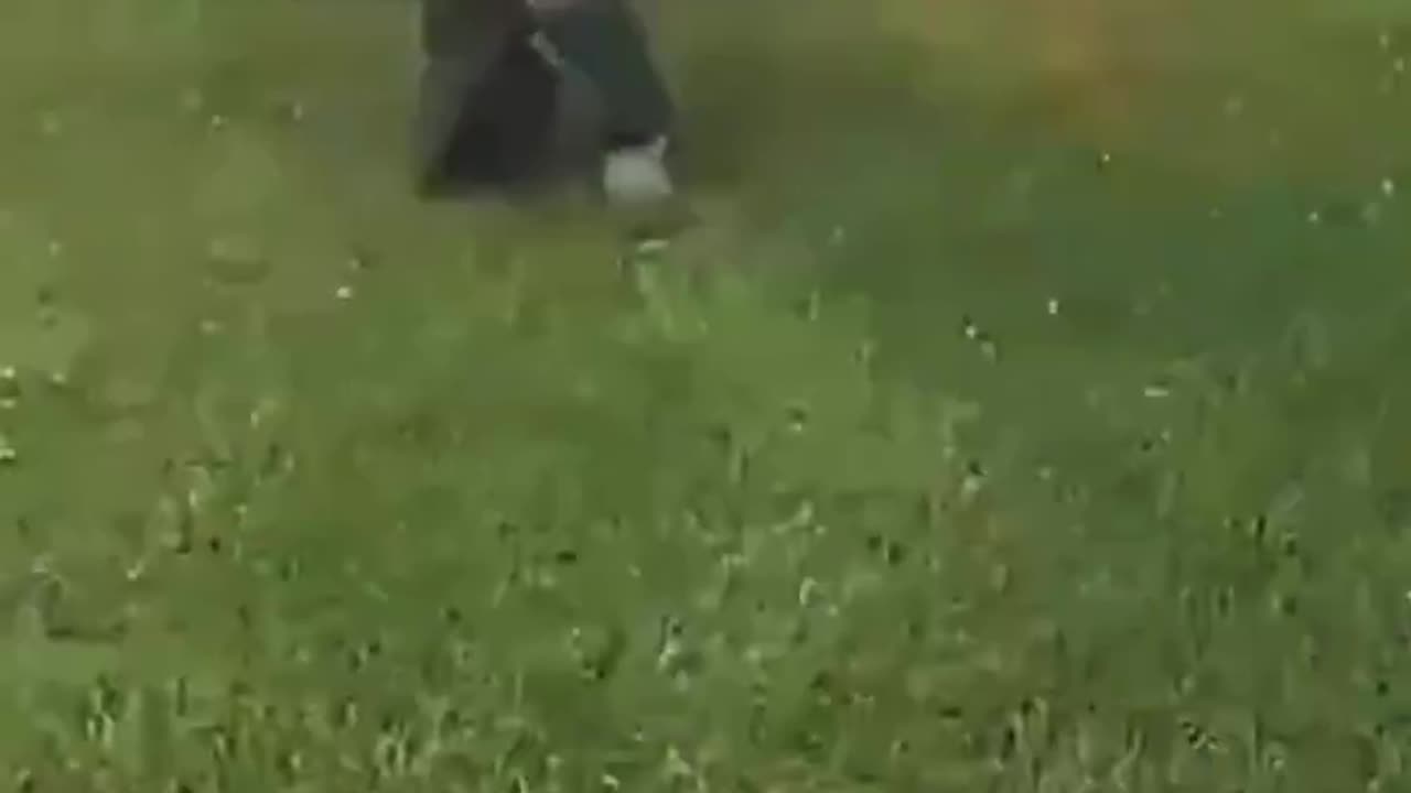 How Quickly It Can Turn Bad