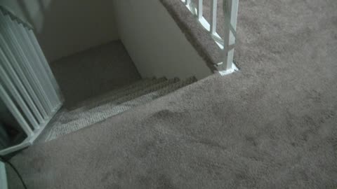 ‎June ‎27, ‎2019, ‏‎4:24:44 AM