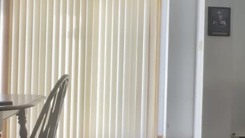 Exercising Everyday till I'm fit Day 38 #exercise #fitness