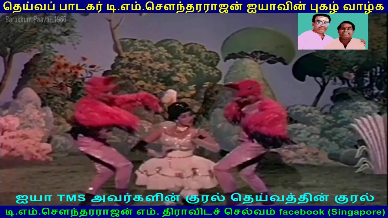 Parakkum Paavai 1966 song 2 TMS Legend