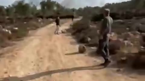 Shocking: An elderly Palestinian woman was assaulted and injured this morning