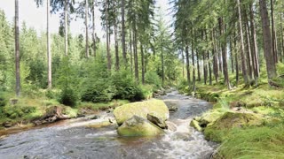 24/7 River Sounds — Rocky Streams, Calm Flow, and Water Ambience for Relaxation