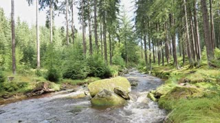 24/7 River Sounds — Rocky Streams, Calm Flow, and Water Ambience for Relaxation