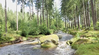 24/7 River Sounds — Rocky Streams, Calm Flow, and Water Ambience for Relaxation