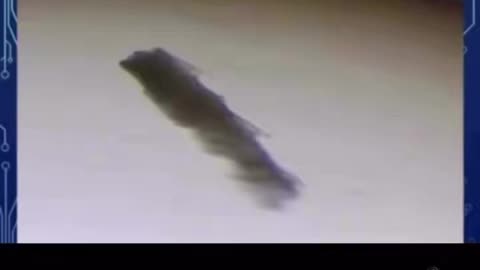 Dr. Carrie Madej consistently finds unexplained structures in vials from different makers and lots.