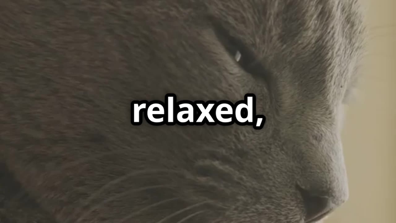 Cats purring is so cute!