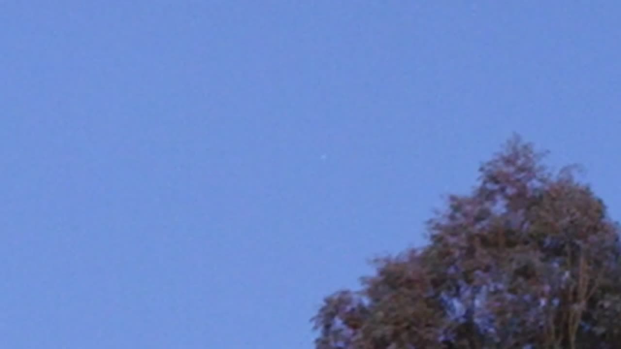 Orb Over Head - Nov 8th 2025