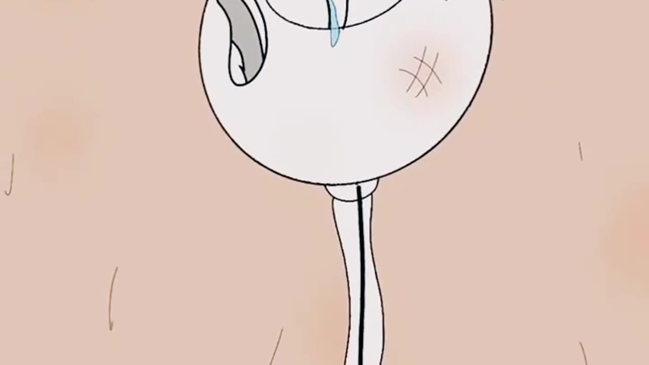 Try not to understand!