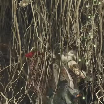 Monster Hunter Wilds Glaze #monsterhunterwilds #capcom #bovcast