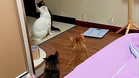 turn off light