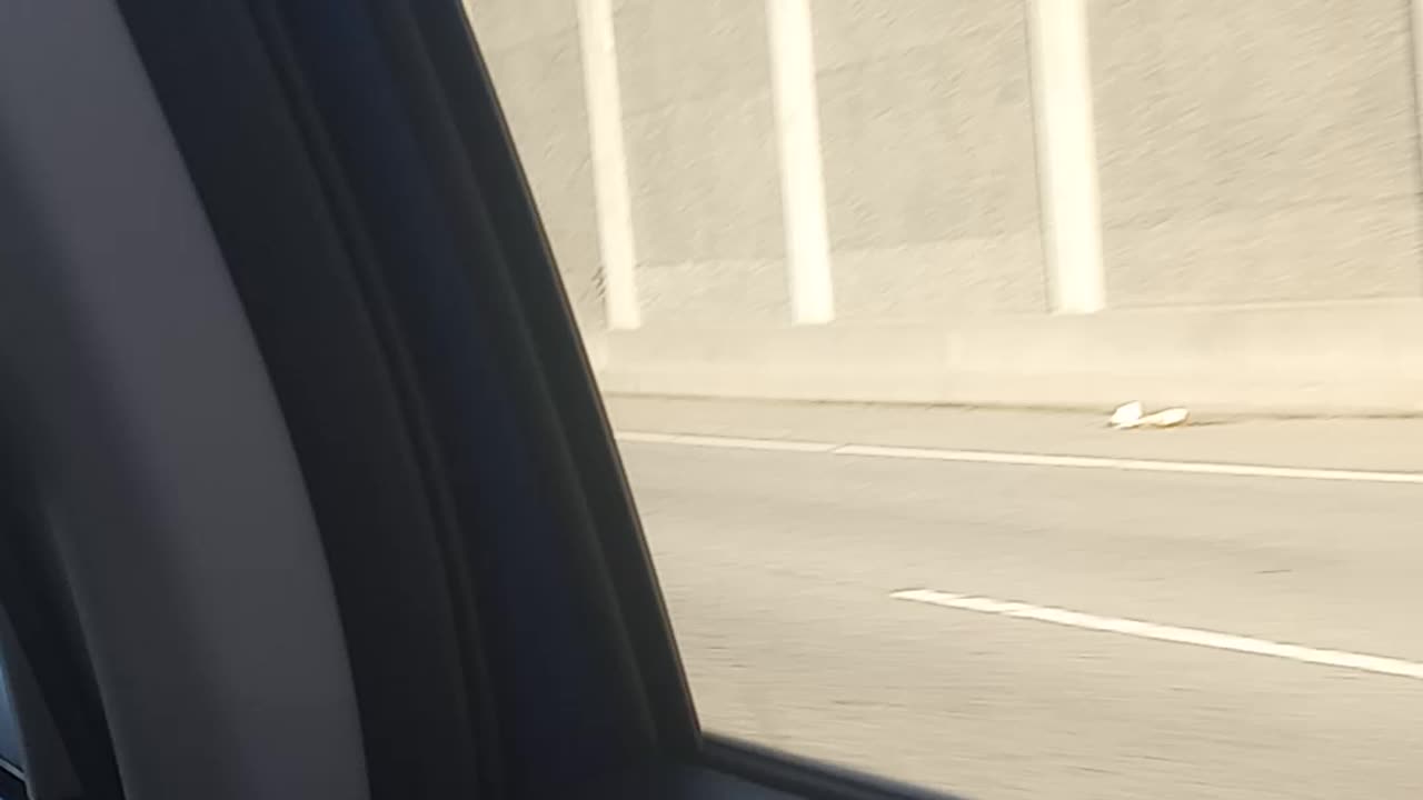 Oops this is the borderline reckless driving