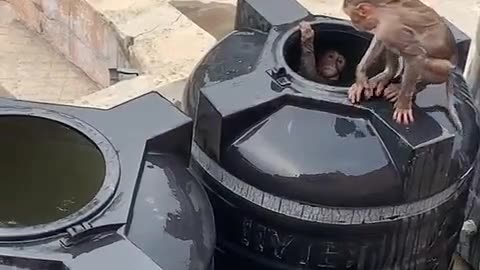 Too hot outside 😂😂