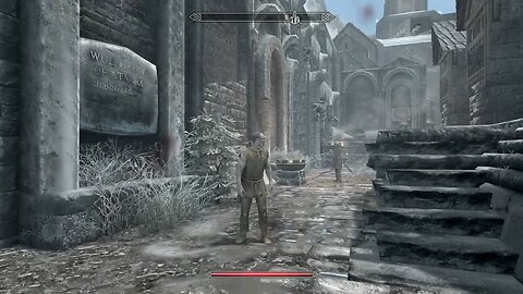 Skyrim Random Encounter in Windhelm