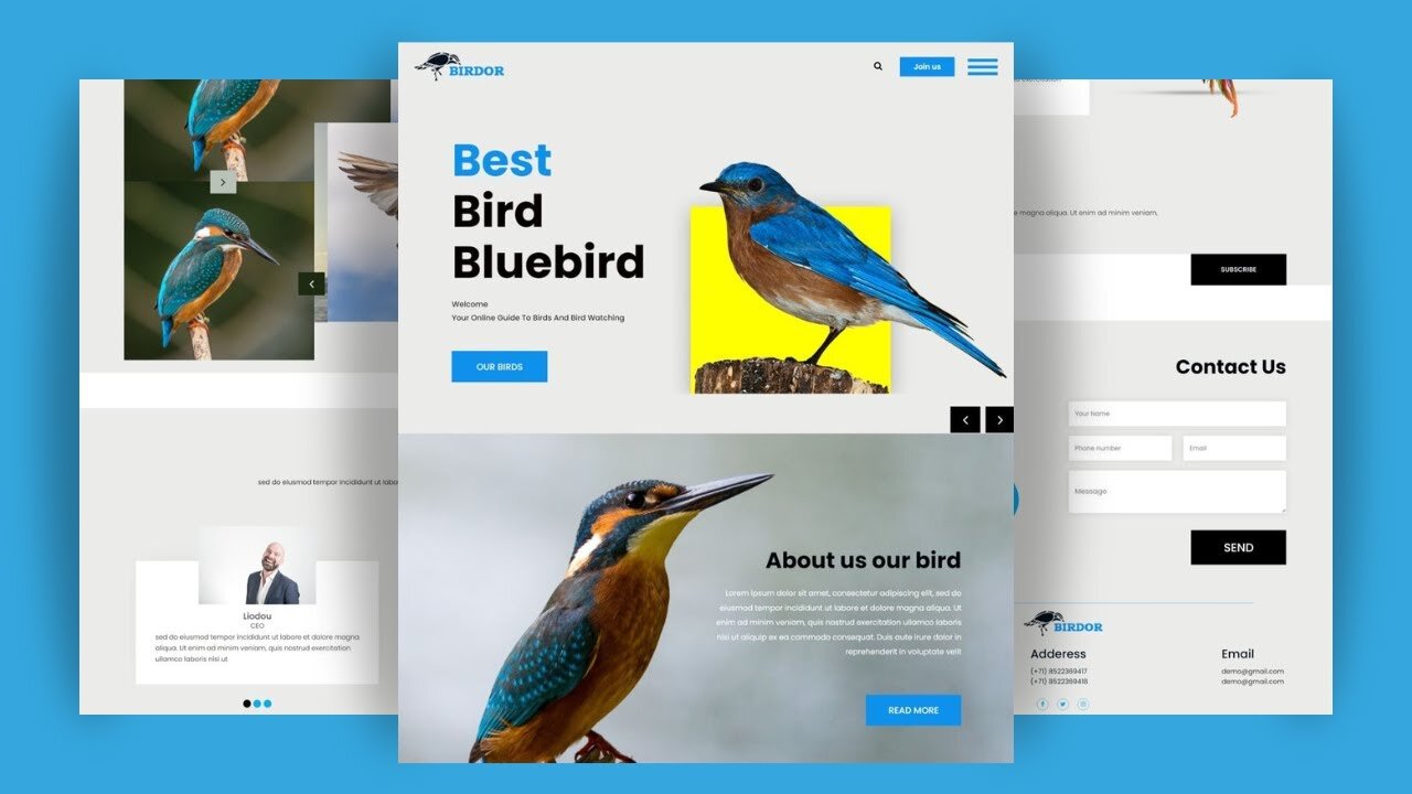 Bird Website Design: HTML, CSS & JS