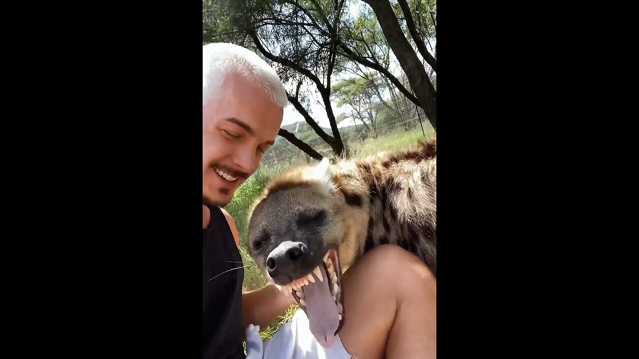 Cutest Hyena😌♥️☠️