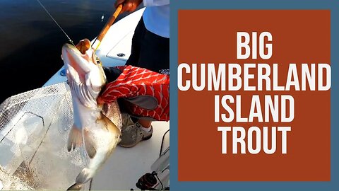 Big Trout Day at Cumberland Island Georgia