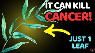 "The Cancer Destroying LEAF That Doctors Aren’t Telling You About."