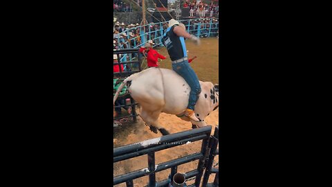 Bull Gone Wild: Shocking Moment a Bull Attacks the Crowd!"