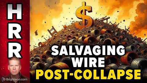 Job Security: Salvaging Wiring and Metals from Commercial Buildings