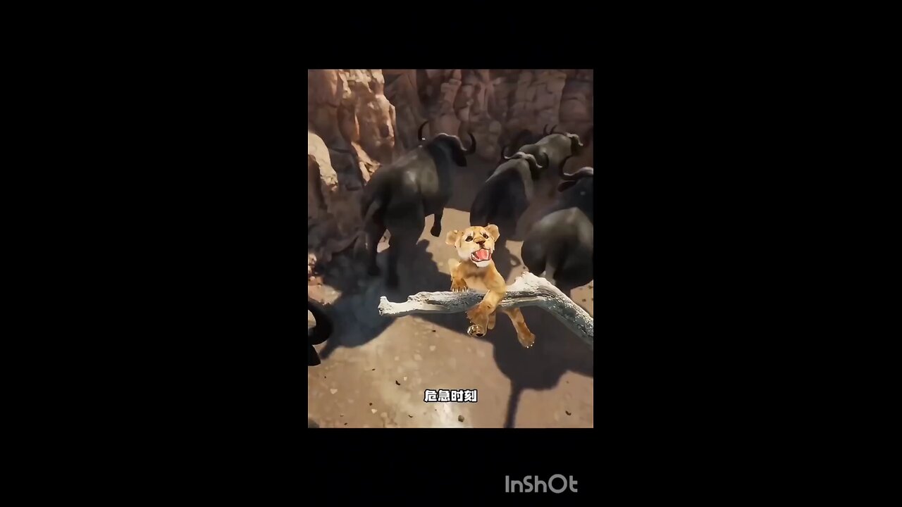 #russia #uk attack #ukran