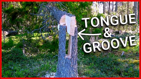 Mastering the Key Notch Technique: Advanced Tree Felling Tutorial