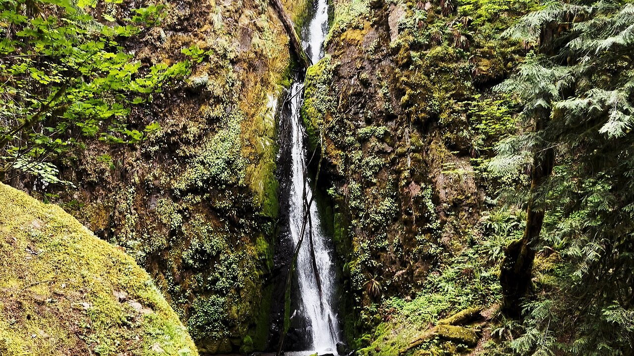 SILENT PERSPECTIVES (4K) of Lower Soda Falls @ Cascadia Linn County Park | Lebanon Sweet Home Oregon