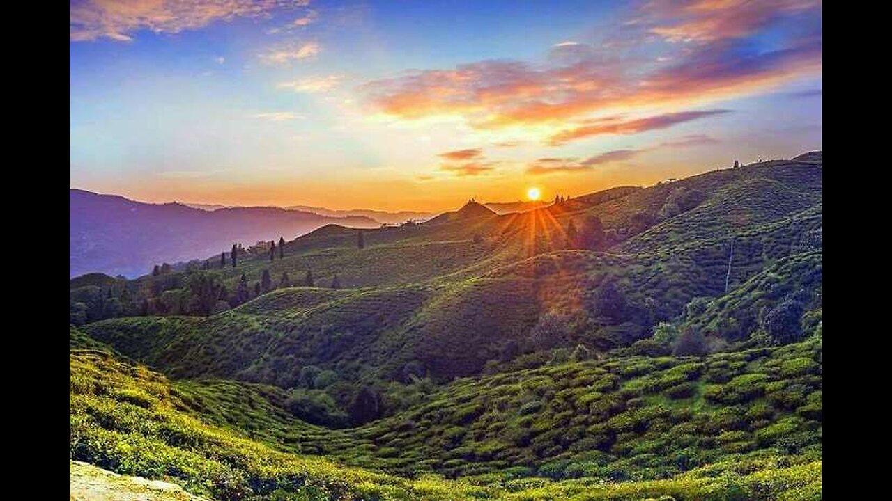 How To Travel Sri Lanka (This is your wonderful destination!)