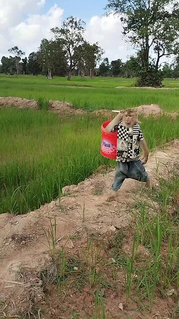 Lovely animal SokYaa, OG, Pao Mom Are Famous Around The World #shorts #anime #trend #edit