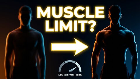 The Truth About Testosterone and Muscle Size