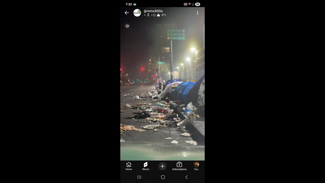 Democrat run states look like this