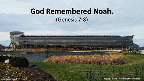 God Remembered Noah (Genesis 7-8) - A daily Bible study from www.HeartofAShepherd.com.