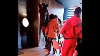 Black Woman Freaks Out When A Guy Brings His Horse Inside A Restaurant