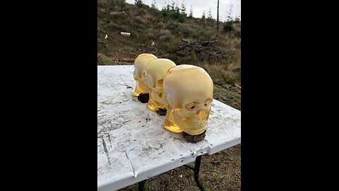 .22 LR Penetration Test using Ballistic Gel Heads