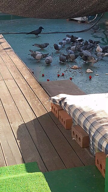 20251114. God made the world.