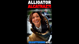 Alligator Alcatraz Meltdown