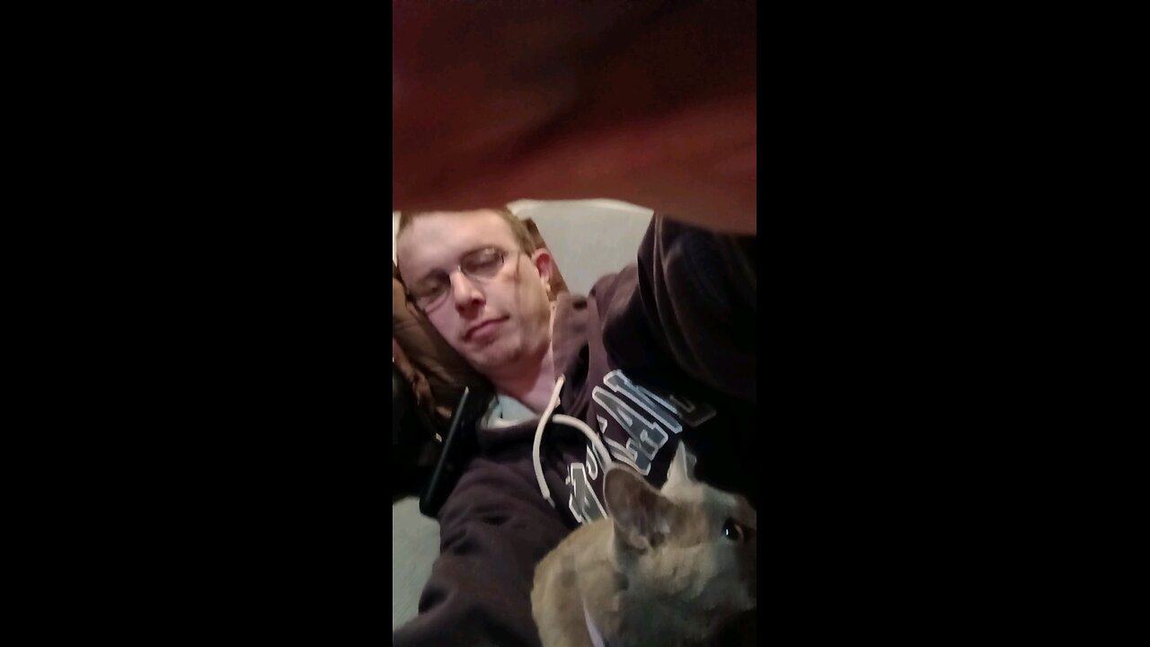play with the cat