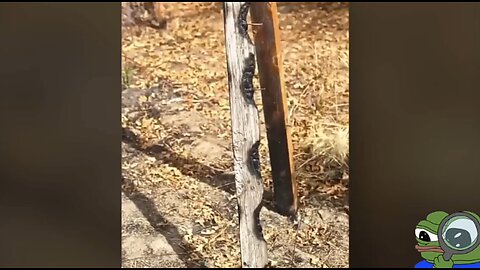 SERIOUS QUESTIONS NEED TO BE ANSWERED ABOUT THE CALIFORNIA FIRES