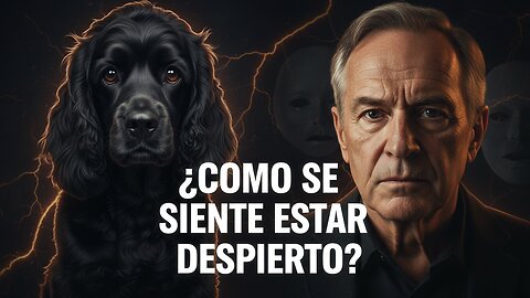 ¿Cómo Se Siente Estar Despierto? La Verdad que la Mente No Puede Soportar