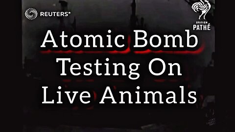 Remastered Footage Of Atomic Bombs Tested Using Live Animals
