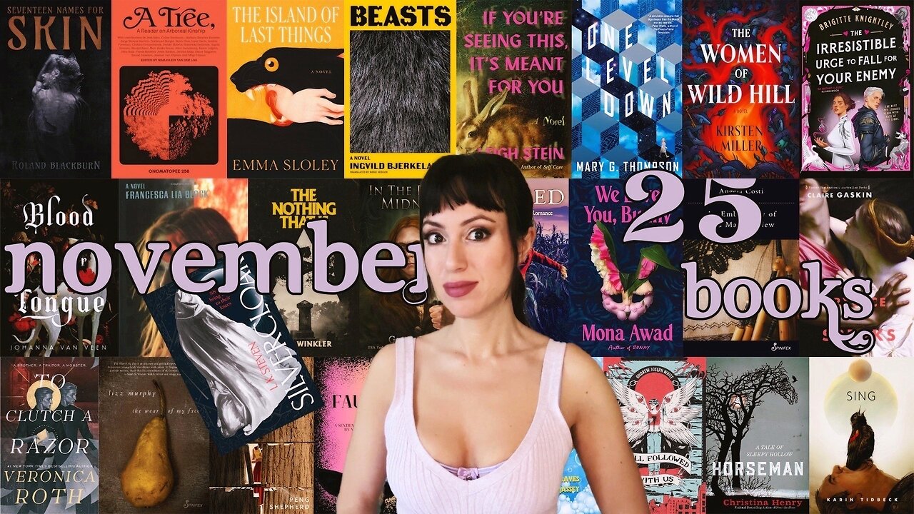 November reading wrap up | 25 books | one sentence reviews | December TBR | all genres